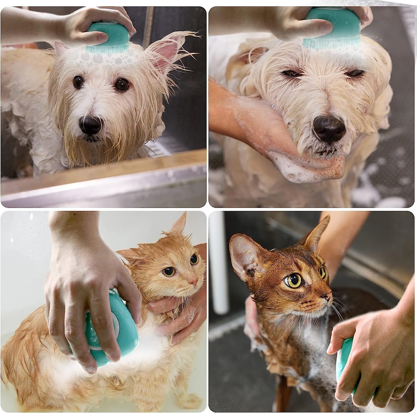 Ultimate Dog Bath Brush & Pet Massage Shampoo Dispenser - Soft Silicone Rubber Bristles for Grooming Dogs and Cats